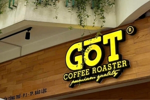GOT Coffee – Hành trình nâng tầm cà phê Bảo Lộc bằng sự nguyên bản và niềm tin