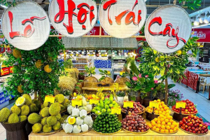 Sắp diễn ra Lễ hội Trái cây Đồng Tháp lần thứ I năm 2026