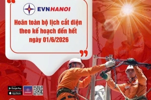 EVNHANOI hoãn toàn bộ lịch cắt điện đến hết 1/6 để phục vụ người dân và các kỳ thi quan trọng