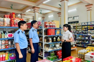 Hàng giả, hàng nhái, hàng xâm phạm sở hữu trí tuệ trên thương mại điện tử: Người tiêu dùng cần làm gì để tự bảo vệ mình?