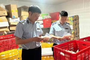 Thái Nguyên: Phát hiện, xử lý 28 vụ xâm phạm quyền sở hữu trí tuệ