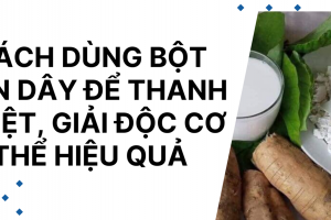 Bột sắn dây vị thuốc cát căn thanh nhiệt và những lưu ý quan trọng khi sử dụng trong mùa nắng nóng