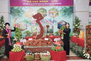 Bắc Ninh: Xúc tiến tiêu thụ vải thiều và các nông sản chủ lực, sản phẩm OCOP năm 2026.