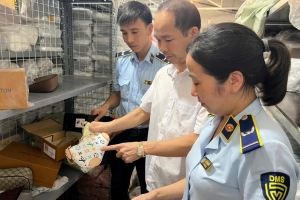 Thanh Hóa: Khởi tố hai vụ án xâm phạm quyền sở hữu công nghiệp