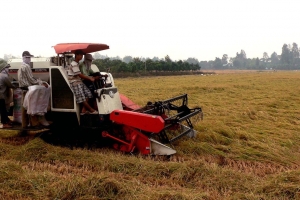 Đồng bằng sông Cửu Long: Thiếu một hệ sinh thái doanh nghiệp đủ mạnh để biến các tiềm năng thành giá trị kinh tế và tăng trưởng bền vững