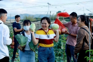 “Đại sứ du lịch” OCOP lan tỏa giá trị văn hóa vùng nông thôn Lâm Đồng
