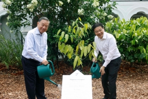 Tổng Bí thư, Chủ tịch nước Tô Lâm trồng cây tại Vườn Bách thảo Singapore