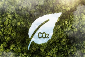 Thêm thủ tục về tín chỉ carbon từ tháng 8/2026, thúc đẩy hình thành thị trường carbon trong nước