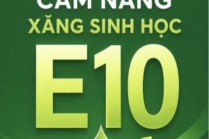 Cẩm nang xăng sinh học E10: Những điều người tiêu dùng cần biết