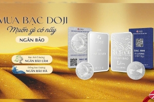 Lợi thế của DOJI khi tham gia vào thị trường bạc đang rất hấp dẫn nhà đầu tư