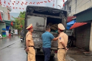 Hưng Yên: Phát hiện hơn 2 tấn tóp mỡ có dấu hiệu mốc, bốc mùi