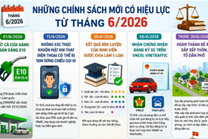 Các quy định pháp luật mới về viễn thông, môi trường, hành chính và giáo dục bắt buộc thực thi từ tháng 6