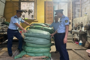 Cao Bằng: Thu giữ hơn 700 kg lá thuốc lá khô không rõ nguồn gốc tại Trùng Khánh