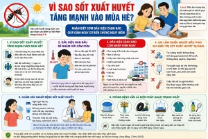 Lâm Đồng ghi nhận hơn 1.100 ca sốt xuất huyết, khẩn trương siết chặt phòng chống dịch mùa mưa
