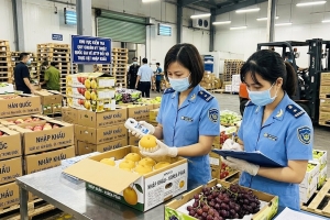 Triển khai phân cấp kiểm tra an toàn thực phẩm đối với thực phẩm có nguồn gốc thực vật nhập khẩu từ ngày 1/9