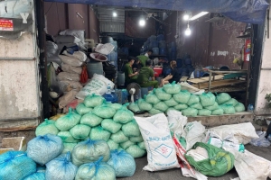 TP.HCM: Triệt phá 3 “đại công xưởng” sản xuất hơn 1.000 tấn giá đỗ ngâm hóa chất cấm