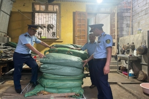 Cao Bằng: Thu giữ 736kg nguyên liệu thuốc lá không rõ nguồn gốc trên xe bán tải