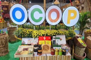 Chuyển đổi số trở thành "chìa khóa" nâng tầm sản phẩm OCOP Ninh Bình