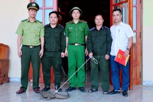Vườn Quốc gia Vũ Quang tiếp nhận 1 cá thể kỳ đà vân quý hiếm