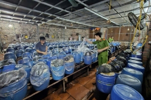 Bắc Ninh: Khởi tố 3 đối tượng sản xuất, tiêu thụ gần 1.000 tấn giá đỗ ngâm hóa chất cấm