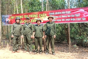 Ban Quản lý rừng phòng hộ Đà Nẵng: Chiến lược bảo vệ rừng bền vững