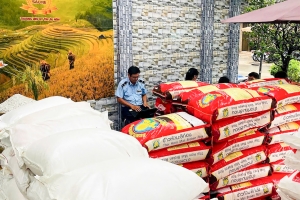 An Giang: Tạm giữ 5 tấn gạo nghi nhập lậu, trị giá khoảng 90 triệu đồng