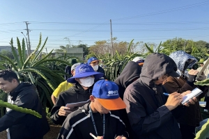 HTX Thanh long sạch Hòa Lệ: Điểm đến trải nghiệm hấp dẫn giữa miền quê Lâm Đồng