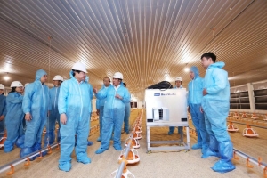 Tây Ninh thúc đẩy hình thành trung tâm chăn nuôi công nghệ cao, tăng tốc chuỗi xuất khẩu tỷ USD