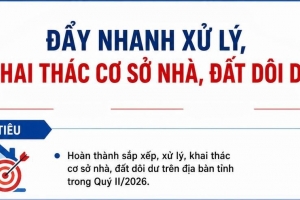 Ninh Bình: Đẩy nhanh tiến độ xử lý, khai thác cơ sở nhà, đất dôi dư