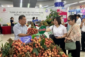 Hải Phòng: Đẩy mạnh ứng dụng thương mại điện tử trong quảng bá, tiêu thụ sản phẩm OCOP và đặc sản địa phương