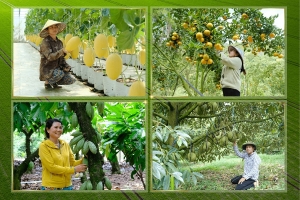 Ngành nông nghiệp và môi trường xây dựng kế hoạch phát triển năm 2027 với nhiều mục tiêu tăng trưởng mới
