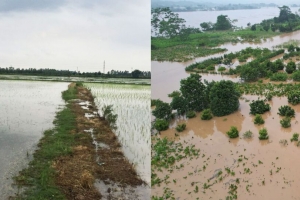 Hà Nội tăng cường tuyên truyền pháp luật về đê điều, thủy lợi và phòng, chống thiên tai