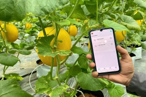 Giữ vững thương hiệu nông sản hữu cơ để nông sản Lâm Đồng vươn xa