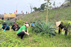 Sáng 6/6, toàn tỉnh Quảng Ninh sẽ ra quân vệ sinh môi trường, phát động cao điểm bảo vệ môi trường năm 2026