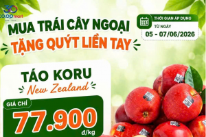 Bắc Ninh triển khai Chương trình khuyến mại tập trung quốc gia năm 2026
