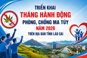 Lào Cai triển khai Tháng hành động phòng, chống ma túy năm 2026