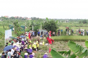 Ngày hội lúa rươi hữu cơ Hải Phòng: Khẳng định giá trị của mô hình nông nghiệp sinh thái đa tầng