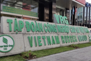 Tập đoàn Công nghiệp Cao su Việt Nam chưa đáp ứng quy định mới về công ty đại chúng, vì sao vẫn được duy trì tư cách?
