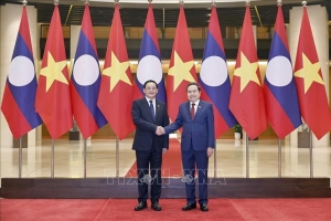 Chủ tịch Quốc hội Trần Thanh Mẫn hội kiến Thủ tướng Lào Sonexay Siphandone