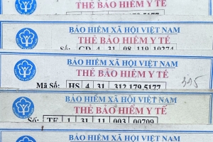Hải Phòng hướng tới tỷ lệ bao phủ bảo hiểm y tế trên 95% dân số