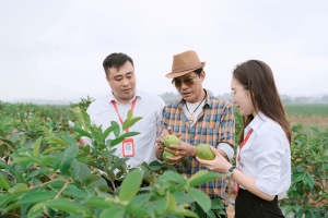 Cầu nối đưa nguồn vốn và dịch vụ tài chính đến gần hơn với người nông dân