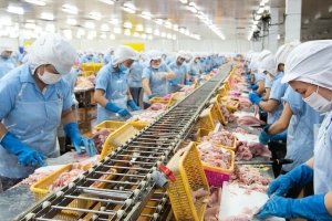 Nam Việt đặt mục tiêu lợi nhuận vượt 1.000 tỷ đồng trong năm 2026