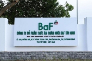 Công ty CP Nông nghiệp BAF Việt Nam bị phạt hơn 800 triệu đồng
