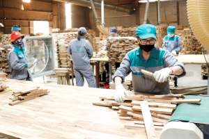 Lào Cai có hơn 3.000 đảng viên hoạt động trong khu vực kinh tế tư nhân