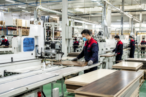Lào Cai: Thúc đẩy phát triển kinh tế tư nhân, tạo động lực tăng trưởng mới cho nền kinh tế