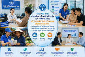 Tiêu chí lựa chọn tổ chức hỗ trợ phát triển người tham gia bảo hiểm xã hội, bảo hiểm y tế