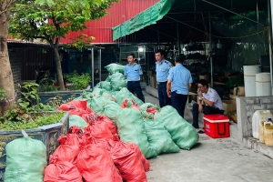 Hải Phòng: Thu giữ hàng nghìn sản phẩm dép trẻ em có dấu hiệu giả mạo nhãn hiệu