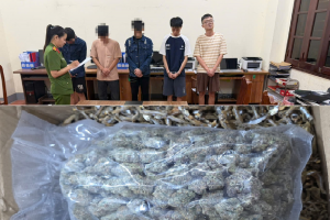 Triệt phá đường dây mua bán cần sa qua mạng xã hội tại Lạng Sơn