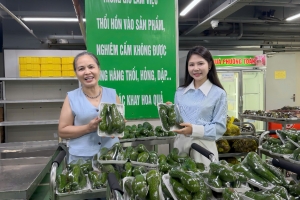 Doanh nhân Phương Toản và khát vọng đưa hoa quả chất lượng đến với người tiêu dùng