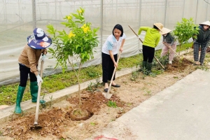 Phụ nữ Bắc Ninh chung tay bảo vệ môi trường